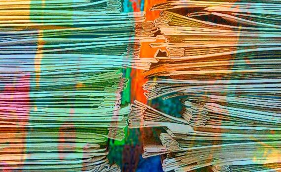 BLANCA VARELA - Curriculum vitae